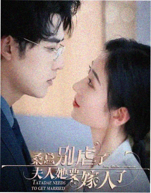 小马宝莉友谊魔法合集